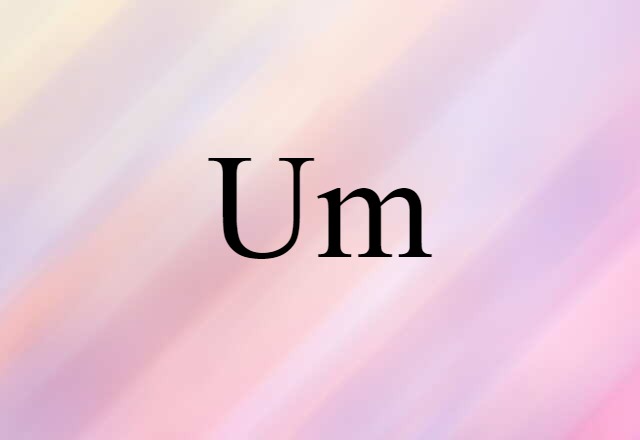 Um (noun) Definition, Meaning & Examples