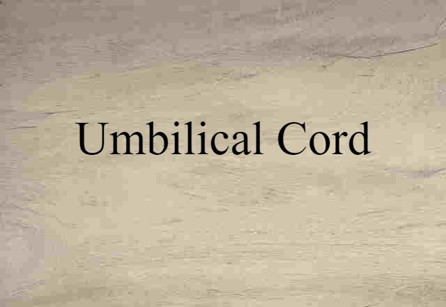 umbilical cord