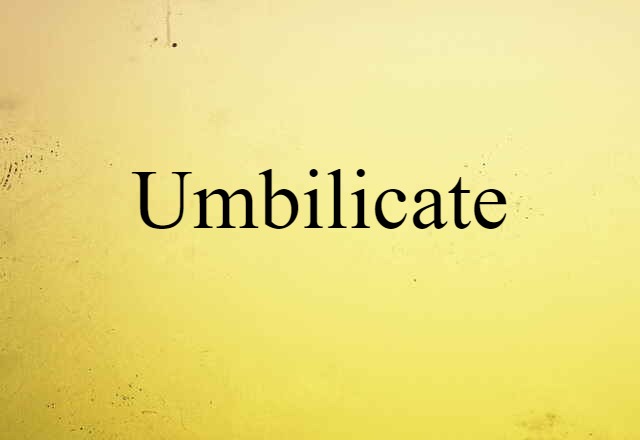 Umbilicate (noun) Definition, Meaning & Examples