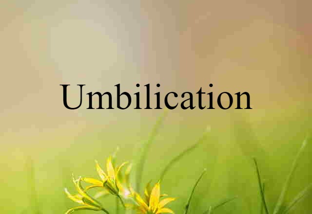 umbilication