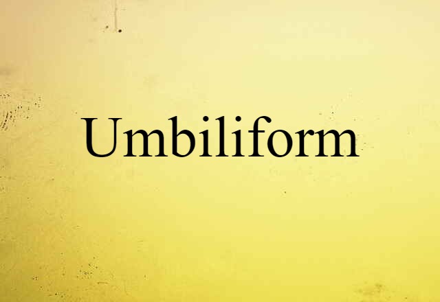 Umbiliform (noun) Definition, Meaning & Examples