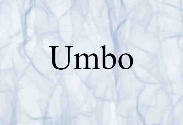 umbo