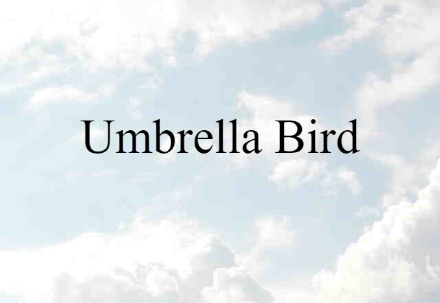 umbrella bird