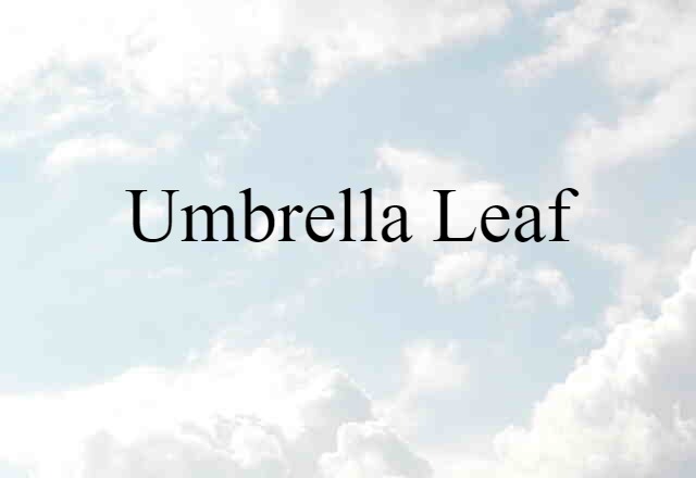 Umbrella Leaf (noun) Definition, Meaning & Examples