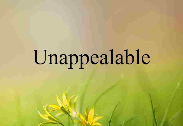 Unappealable (noun) Definition, Meaning & Examples