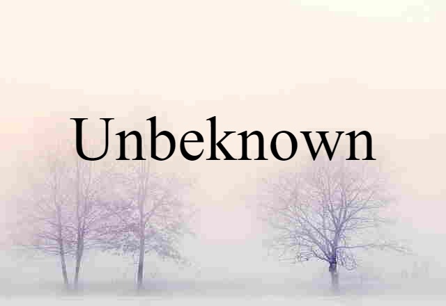 Unbeknown (noun) Definition, Meaning & Examples