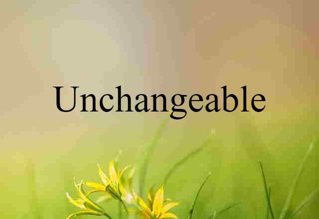 Unchangeable (noun) Definition, Meaning & Examples