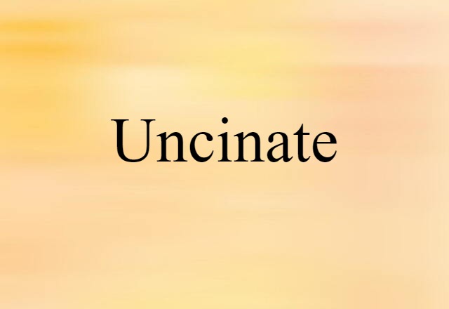 uncinate