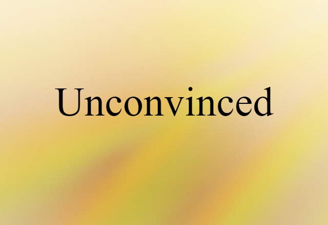 Unconvinced (noun) Definition, Meaning & Examples