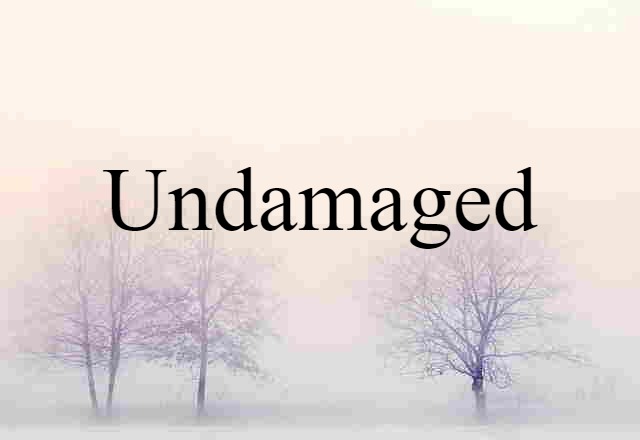 undamaged