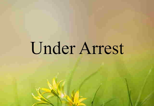 Under Arrest (noun) Definition, Meaning & Examples