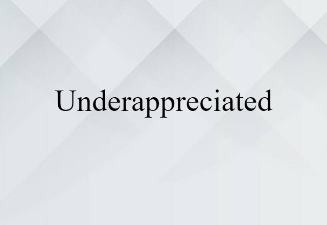 Underappreciated (noun) Definition, Meaning & Examples