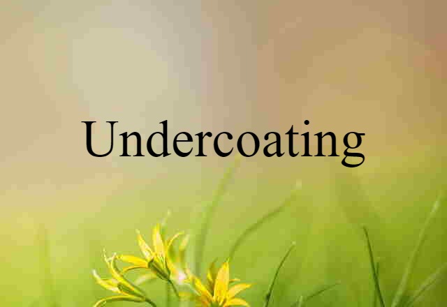 Undercoating (noun) Definition, Meaning & Examples