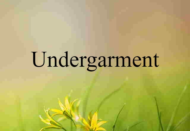 Undergarment (noun) Definition, Meaning & Examples