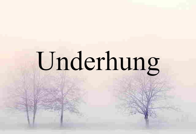 Underhung (noun) Definition, Meaning & Examples