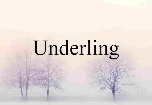 Underling (noun) Definition, Meaning & Examples