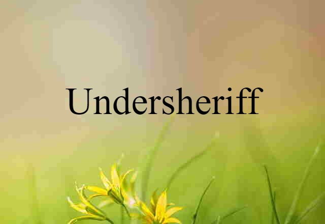 undersheriff