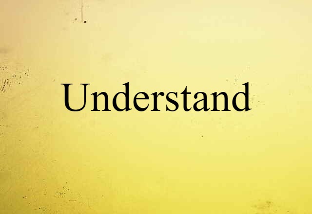 Understand (noun) Definition, Meaning & Examples