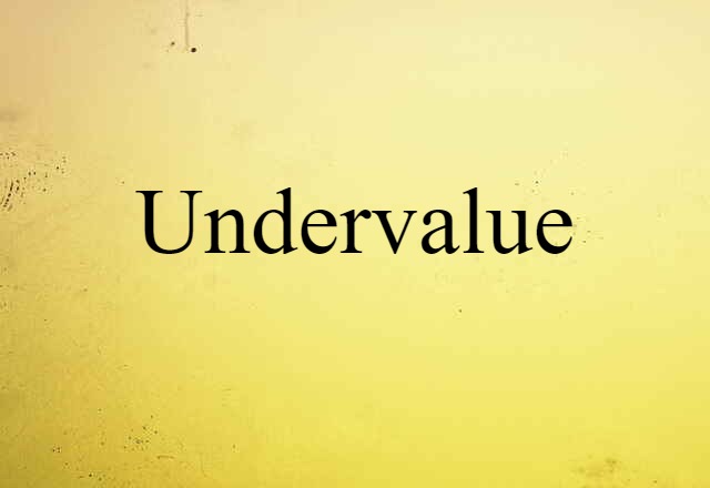 Undervalue (noun) Definition, Meaning & Examples