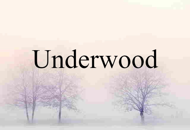 Underwood (noun) Definition, Meaning & Examples