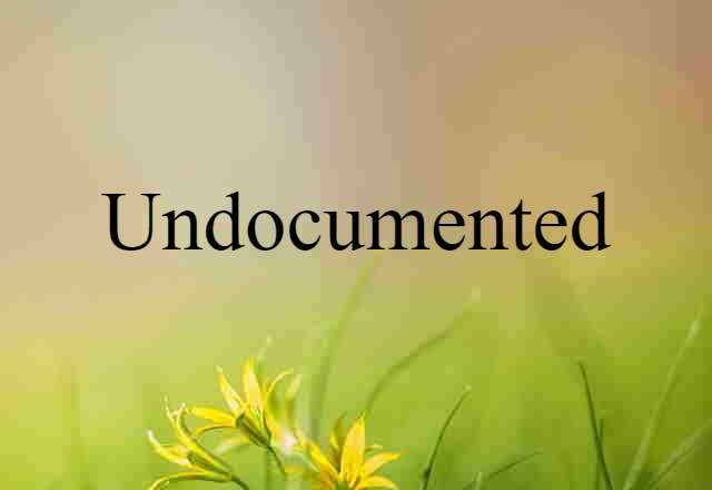 undocumented