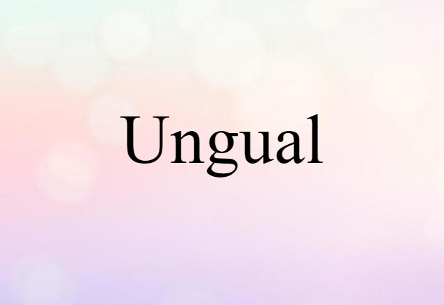 Ungual (noun) Definition, Meaning & Examples