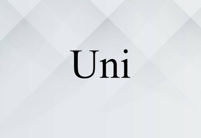 Uni (noun) Definition, Meaning & Examples