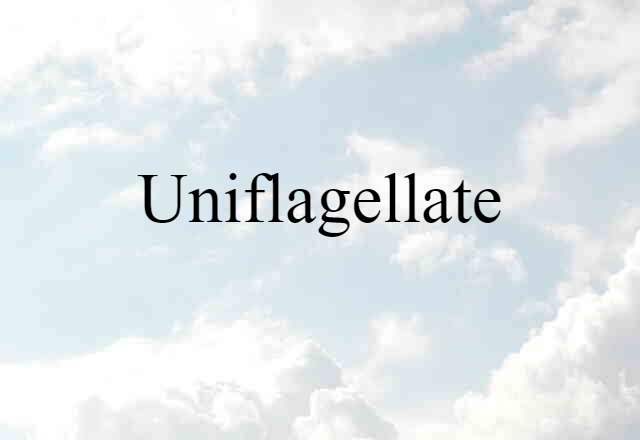 uniflagellate