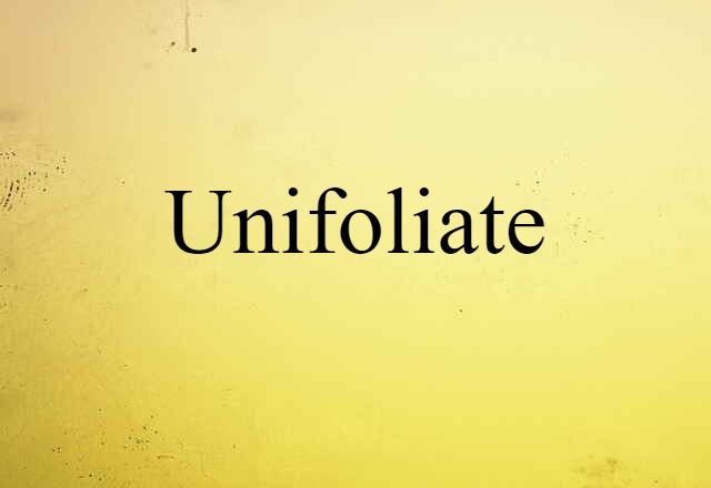 Unifoliate (noun) Definition, Meaning & Examples