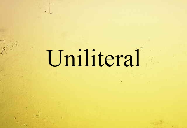 Uniliteral (noun) Definition, Meaning & Examples