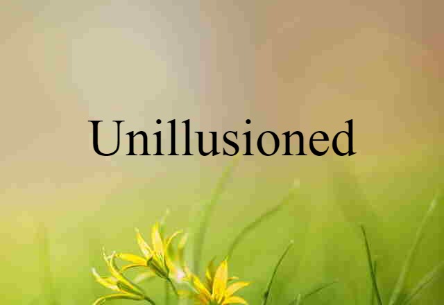 unillusioned