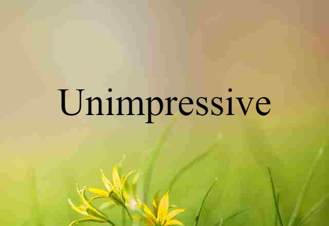 Unimpressive (noun) Definition, Meaning & Examples