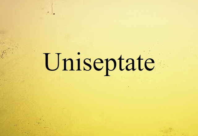 Uniseptate (noun) Definition, Meaning & Examples