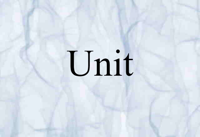 Unit (noun) Definition, Meaning & Examples