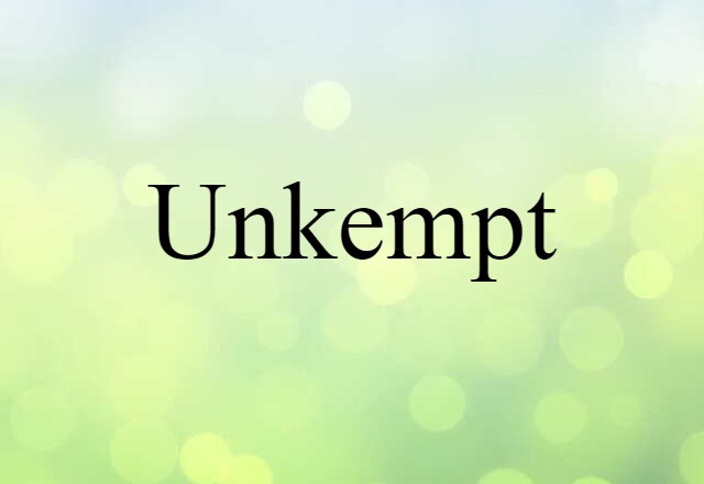 Unkempt (noun) Definition, Meaning & Examples