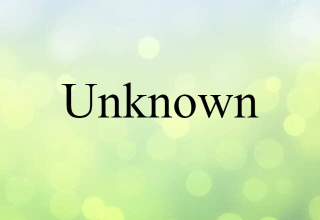 Unknown (noun) Definition, Meaning & Examples