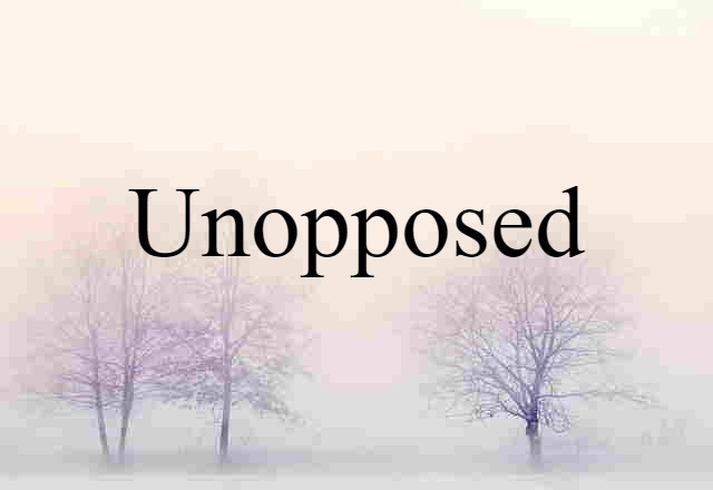 Unopposed (noun) Definition, Meaning & Examples