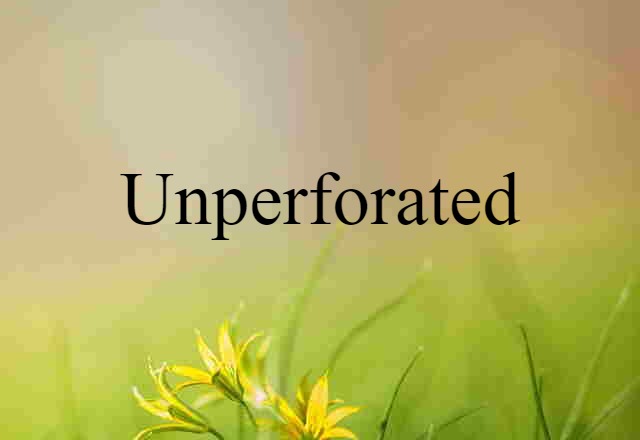 Unperforated (noun) Definition, Meaning & Examples