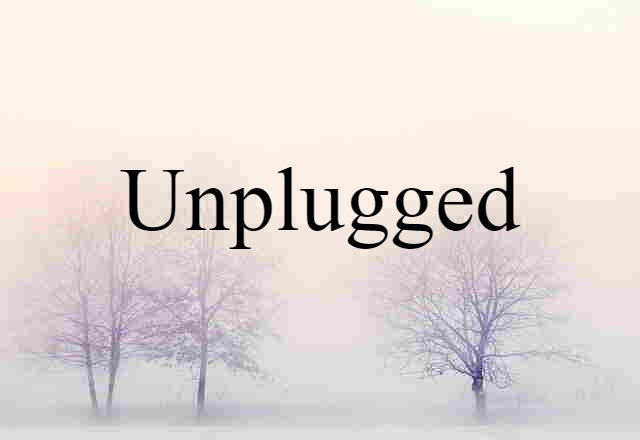 Unplugged (noun) Definition, Meaning & Examples