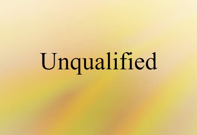 Unqualified (noun) Definition, Meaning & Examples