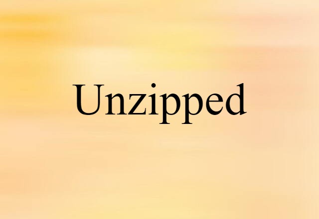 Unzipped (noun) Definition, Meaning & Examples