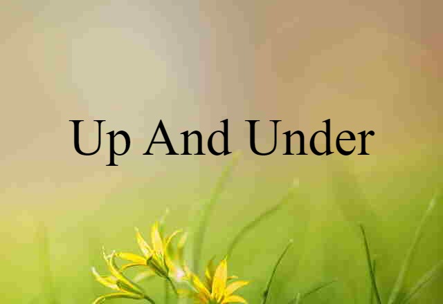 Up-and-under (noun) Definition, Meaning & Examples