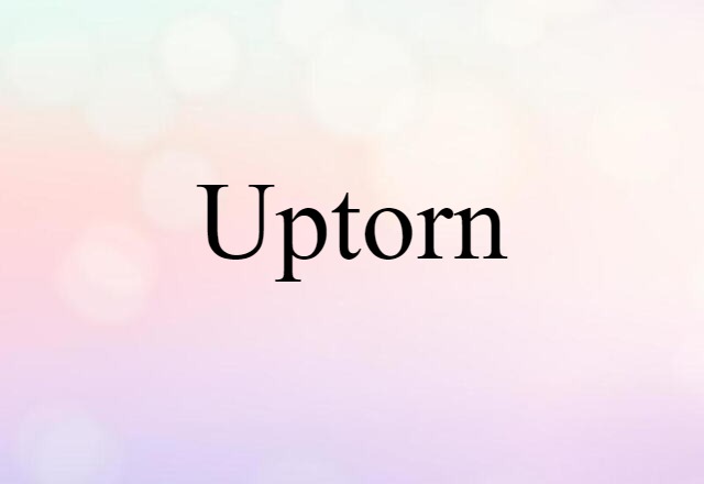 Uptorn (noun) Definition, Meaning & Examples