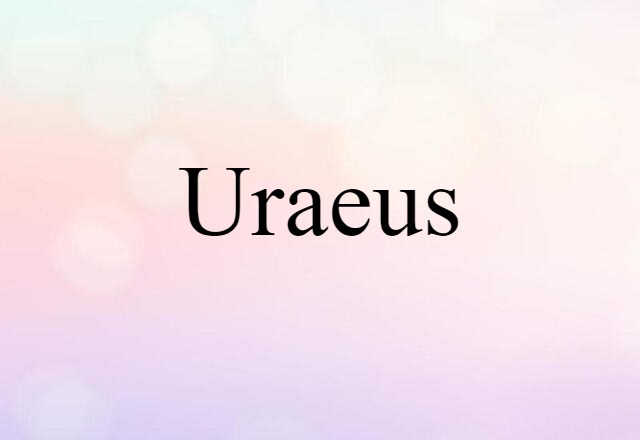 uraeus