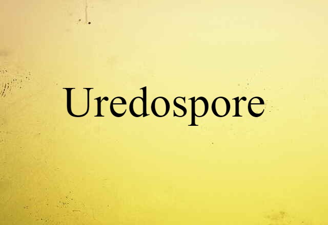 uredospore