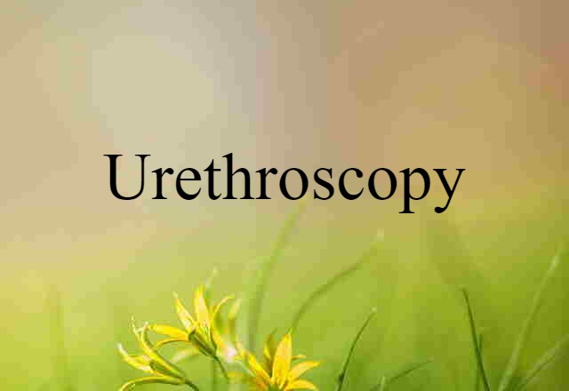 Urethroscopy (noun) Definition, Meaning & Examples