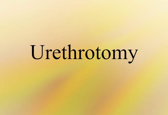 Urethrotomy (noun) Definition, Meaning & Examples