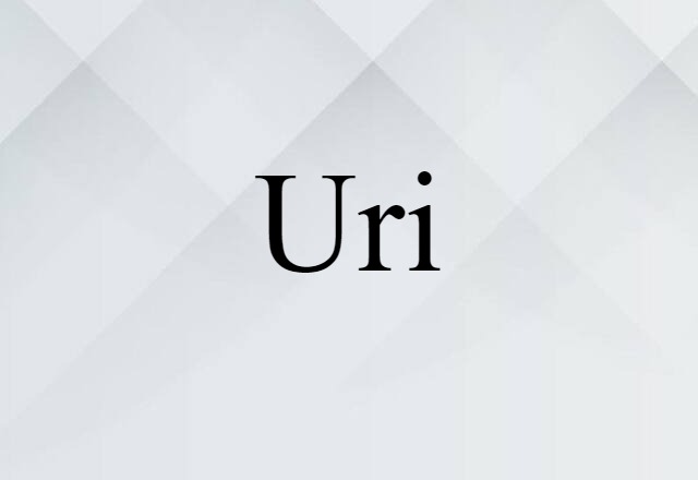 Uri (noun) Definition, Meaning & Examples