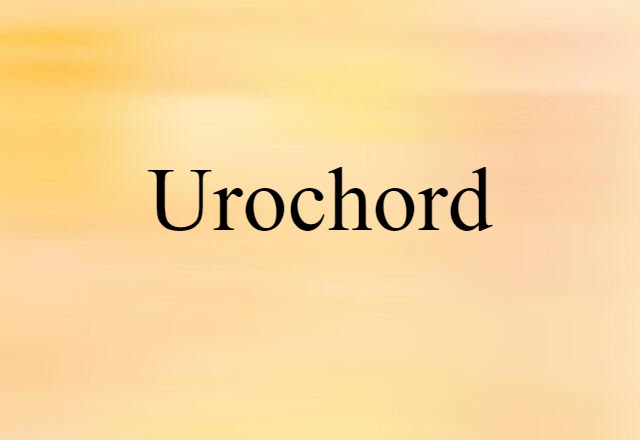 Urochord (noun) Definition, Meaning & Examples