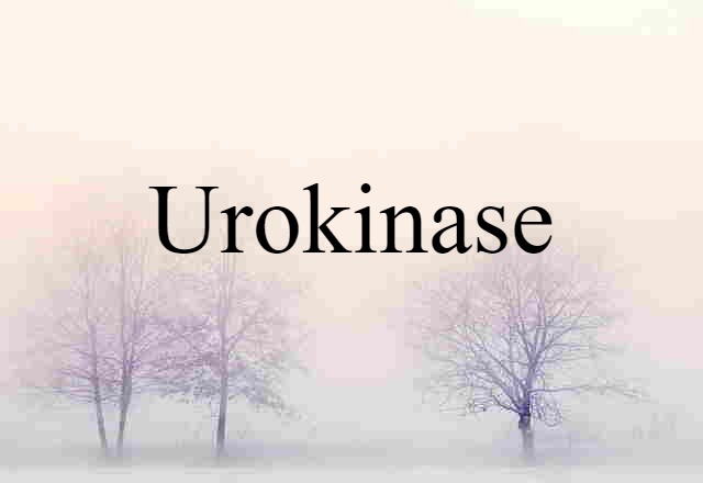 Urokinase (noun) Definition, Meaning & Examples